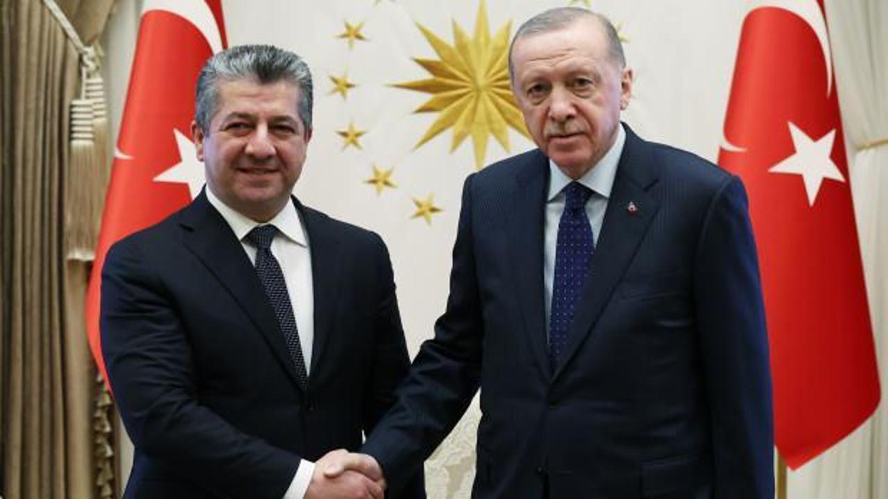 Cumhurbaşkanı Erdoğan, IKBY Başbakanı Mesrur Barzani'yi kabul etti