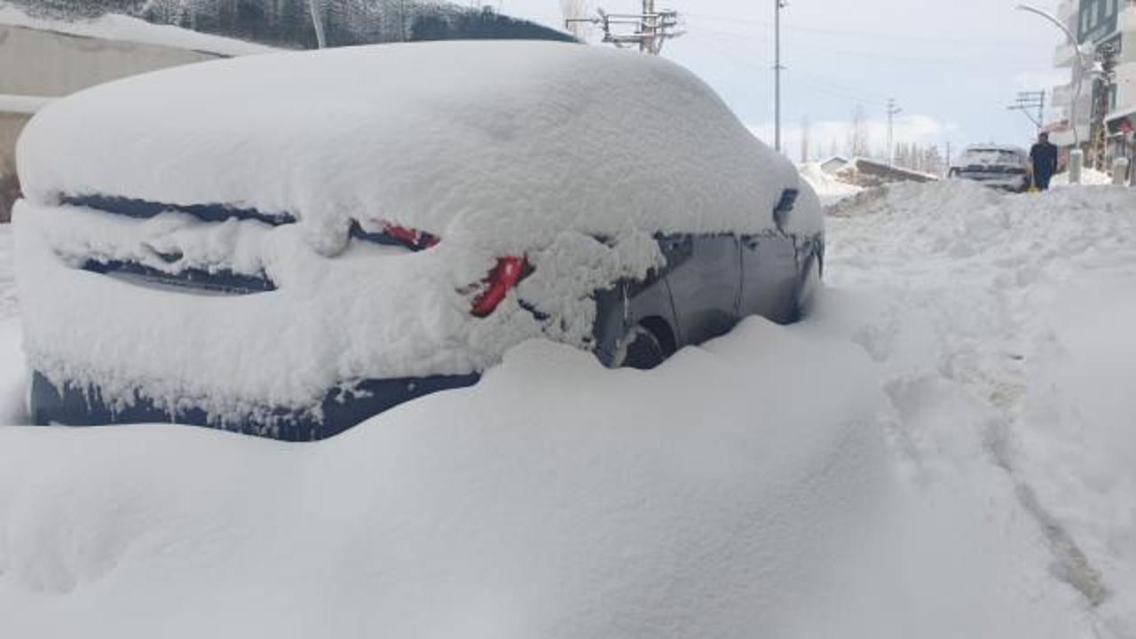 Van, Hakkari, Muş ve Bitlis'te 799 yerleşim yerine ulaşım sağlanamıyor